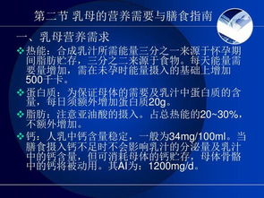 餐饮管理的核心基石 烹饪与膳食管理基础